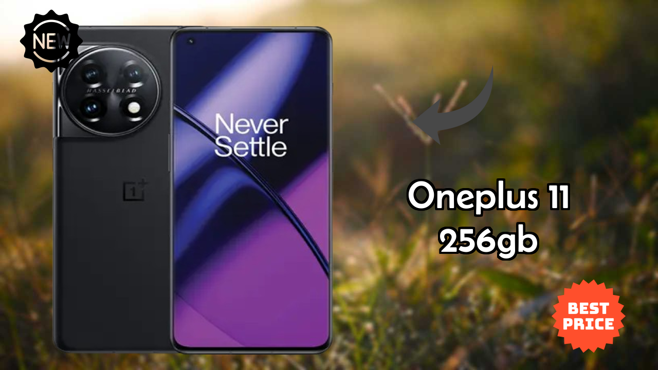 OnePlus 11 256GB Camera Quality: 50 MP + 48 MP + 32 MP Rear Camera Photo Review